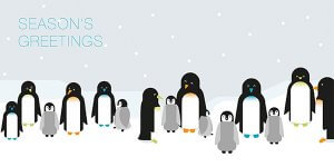 Window displays, live penguins, and CRM software