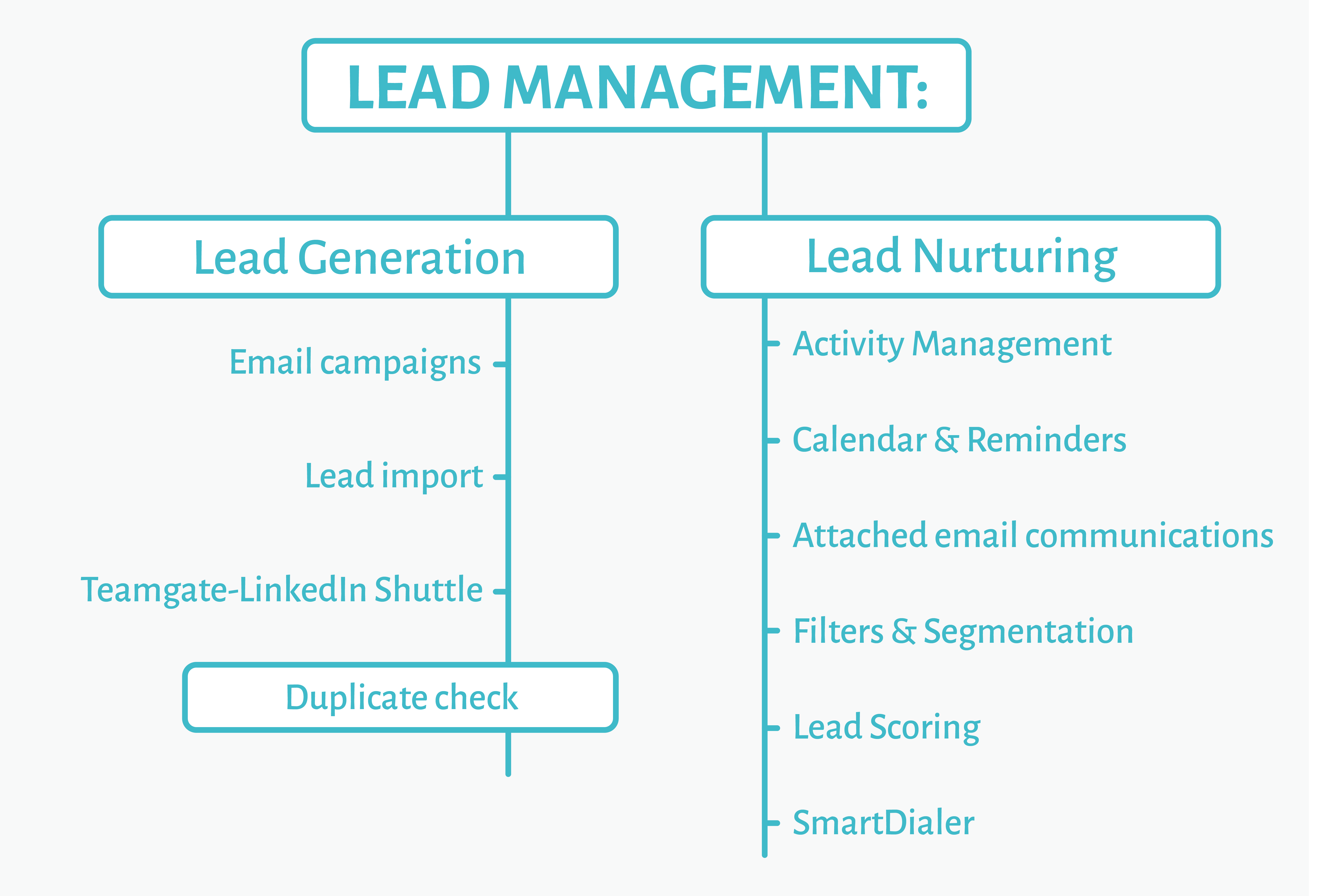 lead management process