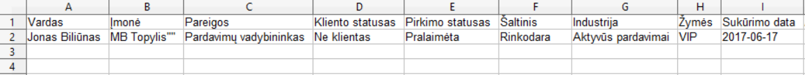 failo-paruo_imas-importui-teamgate.png