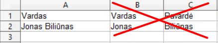 vardas-pavard_-failo-importas-teamgate.png