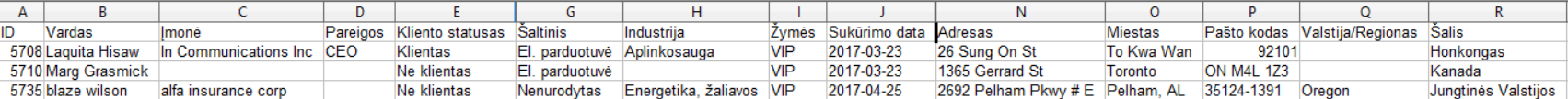 importuojamo-_failo-pavyzdys-teamgate.png