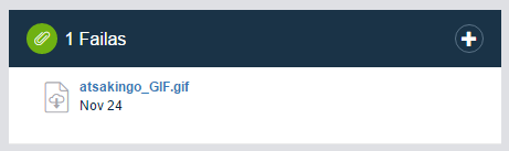Kaip įkelti failą prie įmonės ir kontakto?