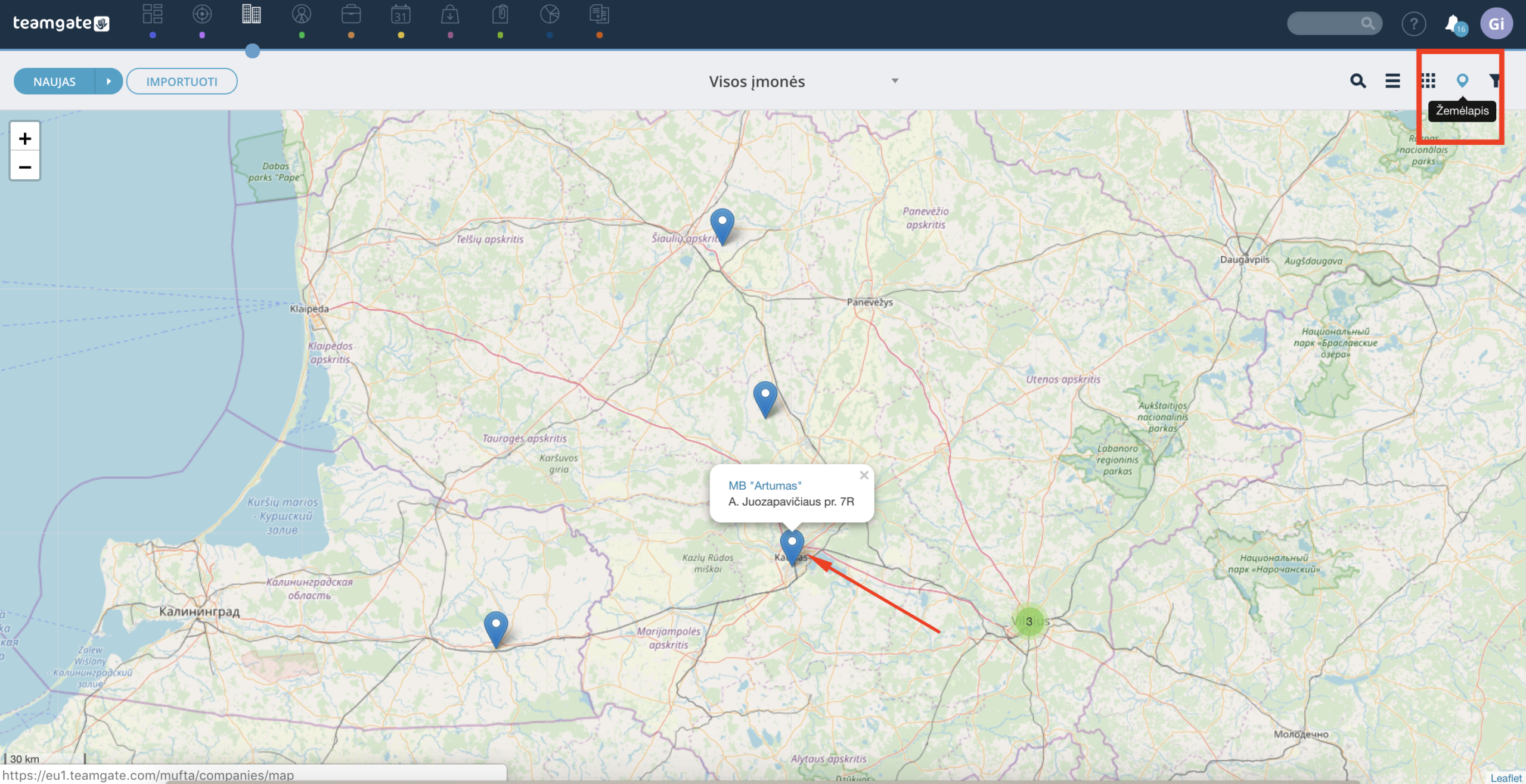 i_moniu_-atvaizdavimas-z_eme_lapyje-Teamgate-CRM.png