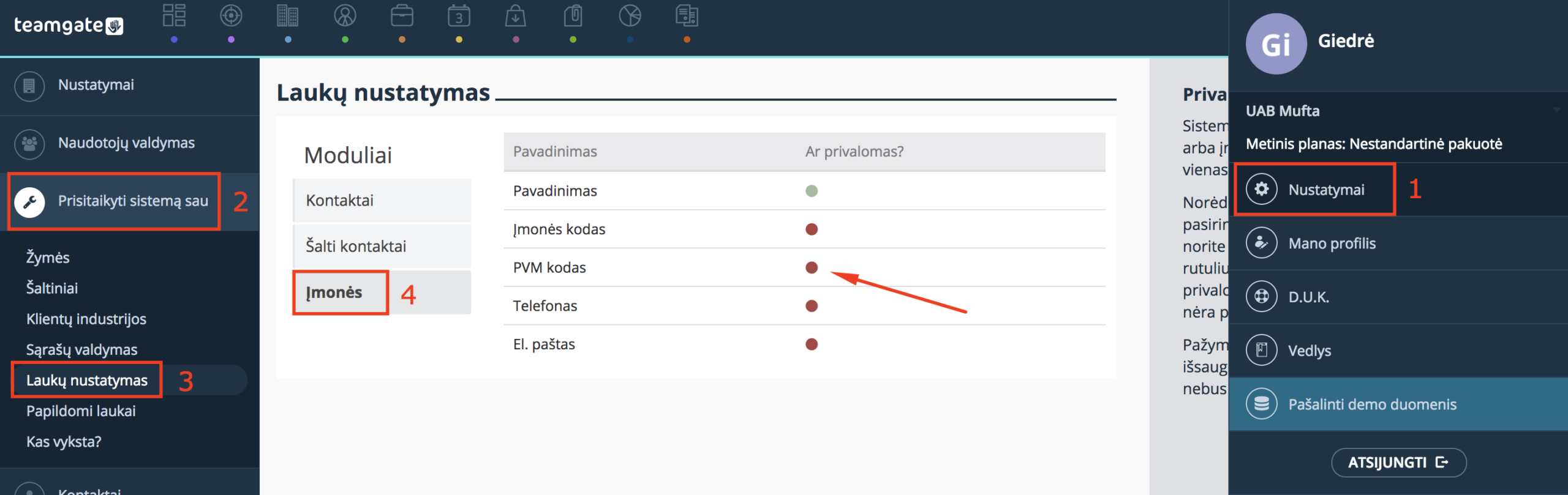i_mone_s-privalomi-laukai-nustatymai-Teamgate-CRM.png