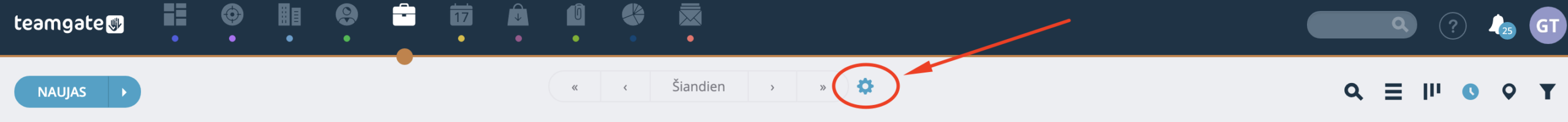 atvaizdavimo-nustatymu_-mygtukas-prognoze_-Teamgate-CRM.png